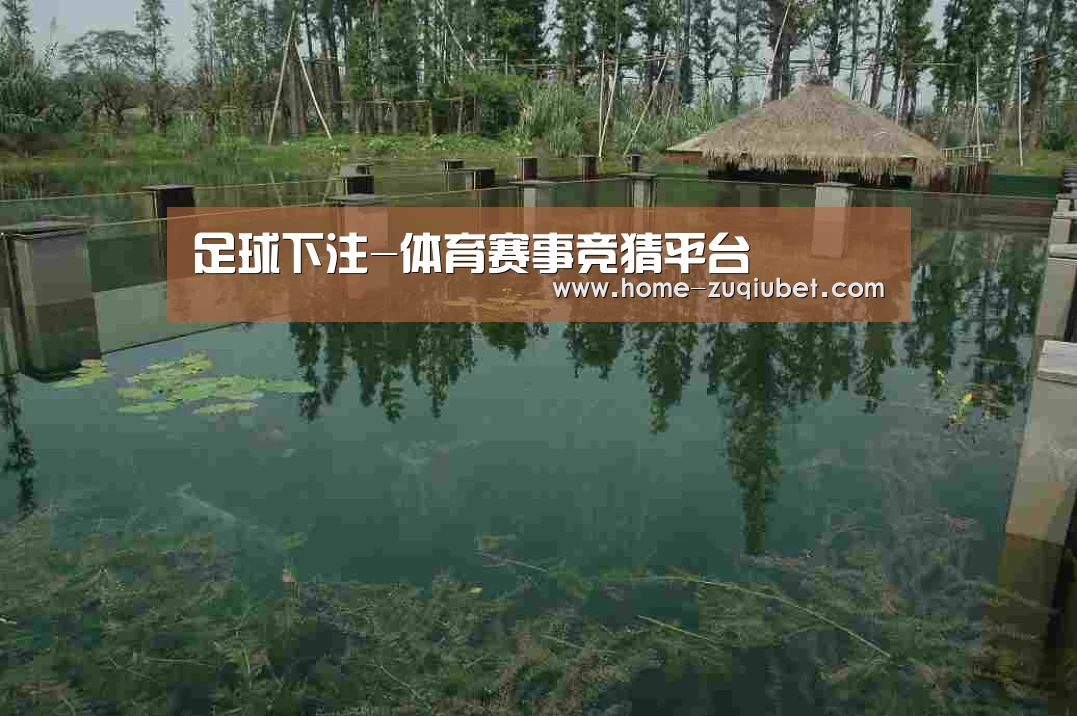 案例展示二(图1)