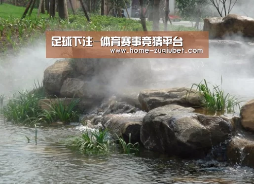 案例展示五